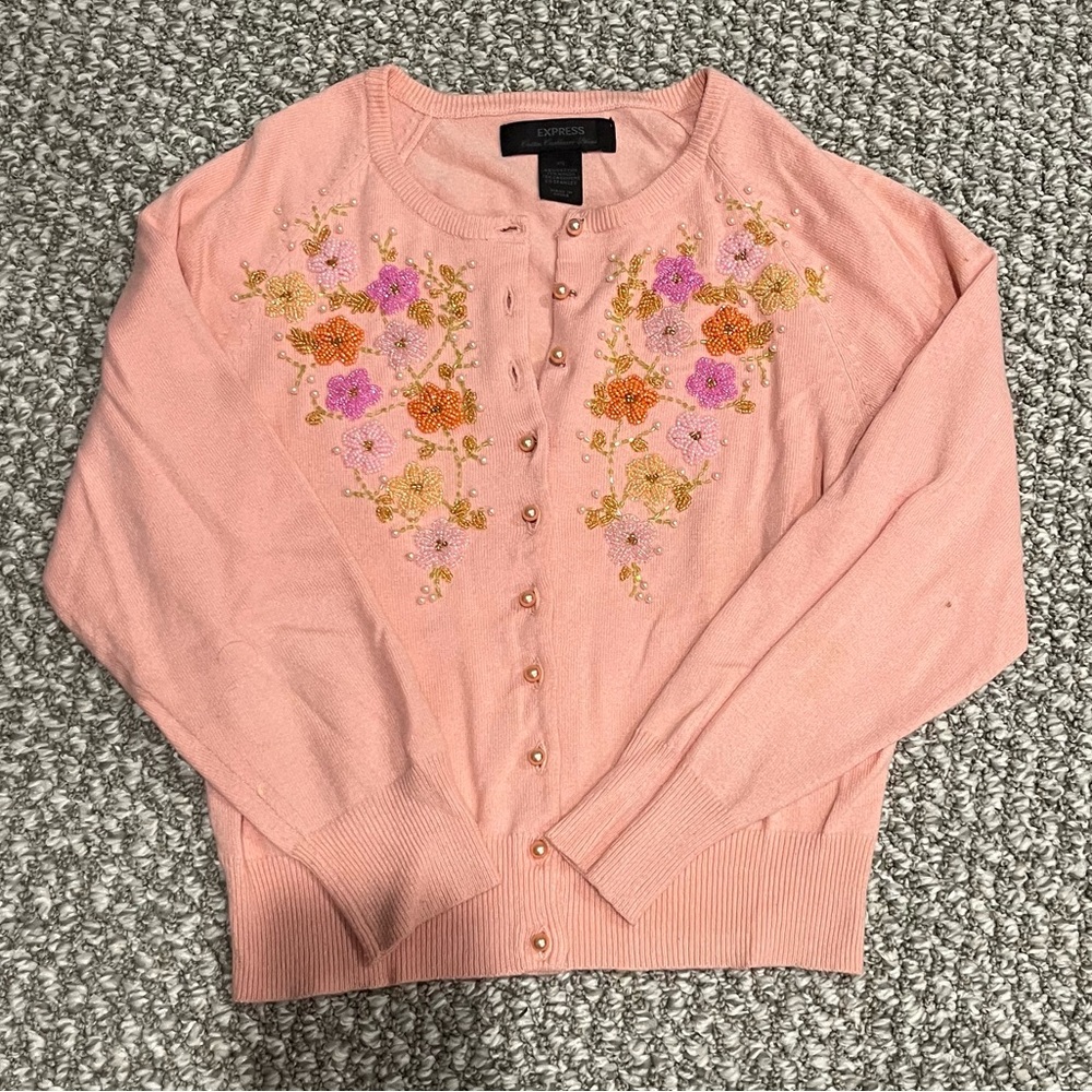 Express Tiny Sweater